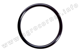 O Ring, Front Diffrental