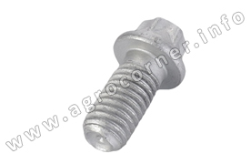 Screw, Bridge Piece