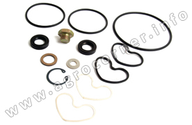 Kit, Steering Pump