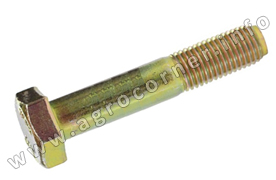 Bolt, Thermostat Body Big