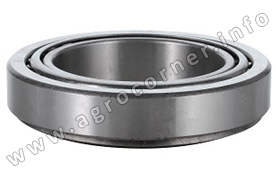 Bearing, Rear 29685