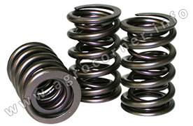 Spring Kit, Head Valve