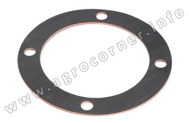 Jain, Inspection Cover