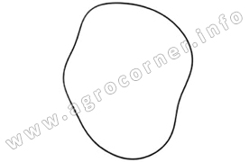 O Ring, Rear Axle Housing