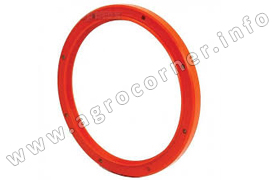 Oil Seal, Main