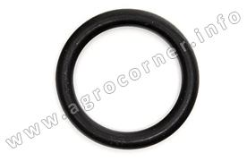 O Ring, Crankshaft Gear