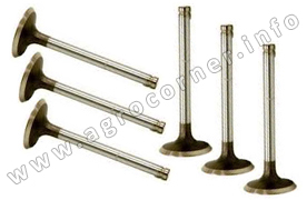 Valve, Head Cylinder