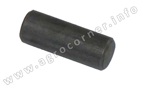 Pin, Gear Rail Retainer