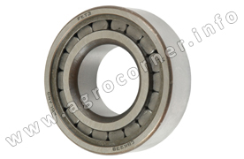 Bearing, Rear 239