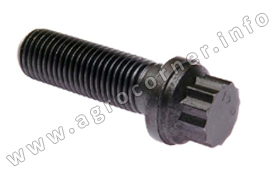 Bolt, Diesel Pump D Plate