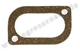 Jain, D/Pump Body Cork
