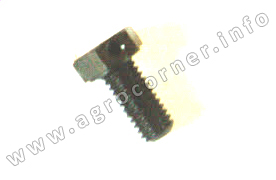 Bolt, D/Pump Body Cork