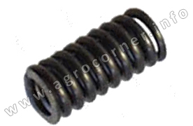 Spring, D/P E/Plate Medium