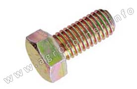 Bolt, T/Case Bottom Plate