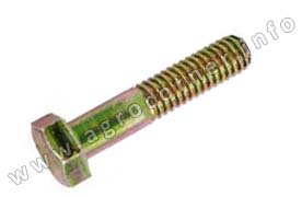 Bolt, Housing Joint Big
